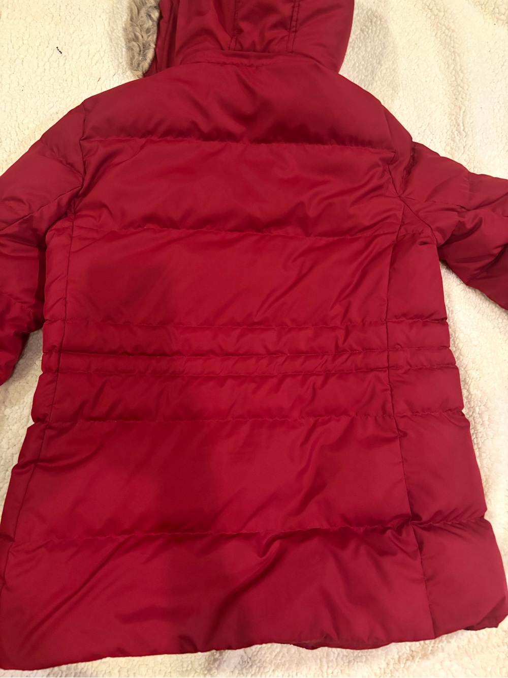 Lauren Ralph Woman jacket - Picture 3 of 6